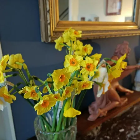 Des Chats Πανσιόν Καλέ