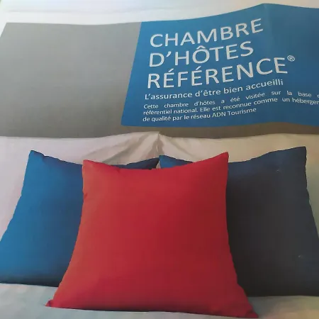 Des Chats Pensionat Calais