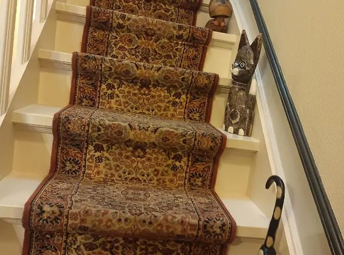 Des Chats Maison d'hôtes Calais