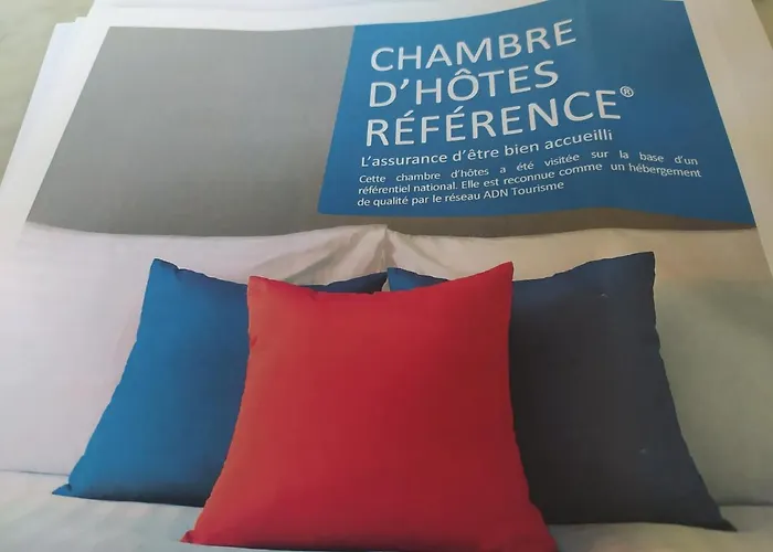 Des Chats Maison d'hôtes Calais